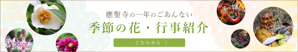 季節の花　年中行事